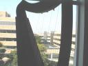 Looking out the dorm window through a harp